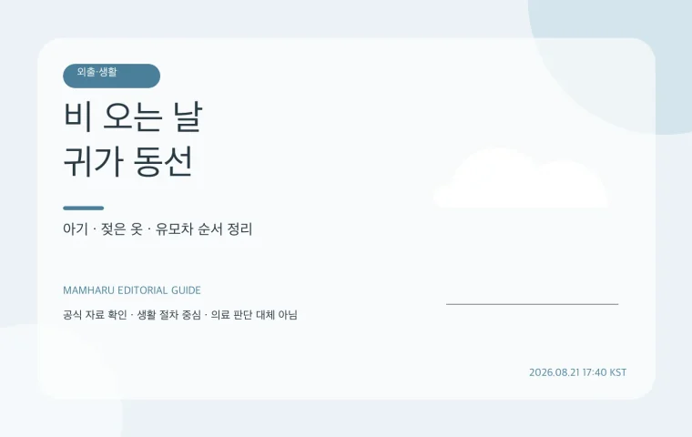 비 오는 날 아기와 귀가하기: 젖은 유모차보다 먼저 할 일